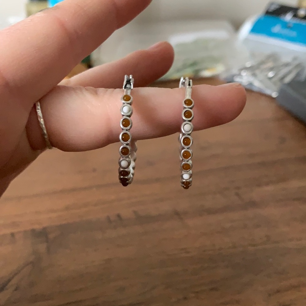 Earring hoops